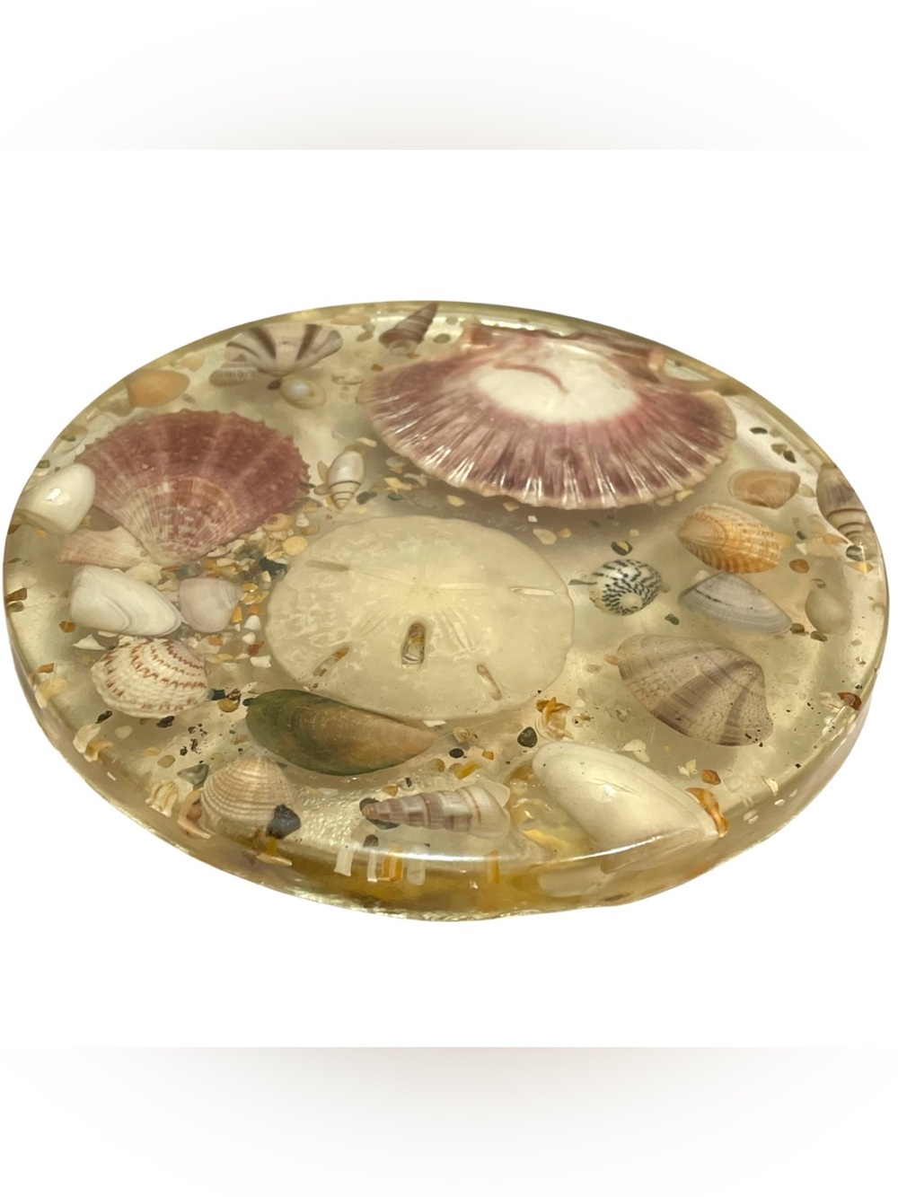 Vintage 1970s Lucite Trivet with Encased Sea Shells - MCM Florida Souvenir